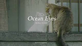 Billie Eilish  Ocean Eyes Slowed [upl. by Tobit]