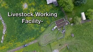 Livestock Working Facility Site amp Design Considerations [upl. by Iram97]