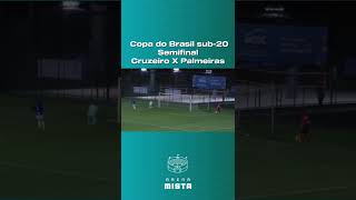 Palmeiras x Cruzeiro Copa do Brasil Sub20 [upl. by Ahsykal]