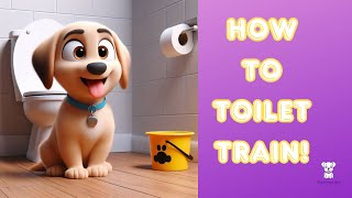 How to Potty Train Your Dog FAST Ultimate Guide and Tips [upl. by Busey168]