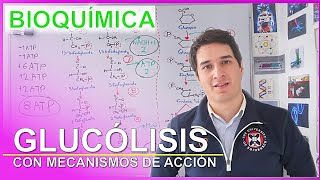 Glucólisis FÁCIL Nivel Experto para Principiantes  Camach Learn [upl. by Wendall]