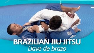 BRAZILIAN JIU JITSU 3  Llave de brazo [upl. by Layne]