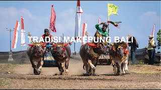 Melihat Tradisi Makepung Bali [upl. by Irby24]