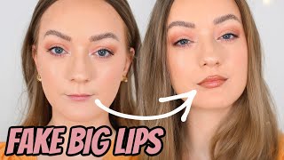 HOW TO Make TINY Lips Look BIGGER  Tips to Fake Big Lips With Makeup [upl. by Oirasec87]