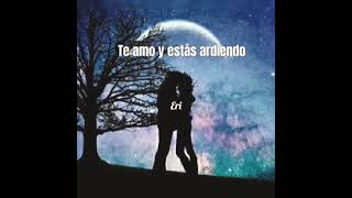 Ardiente amor  MAYA ANDINA 🎼🎶💿 [upl. by Gamber]