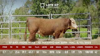 Lote 7 Toro astado PI RP 643 [upl. by Flori]