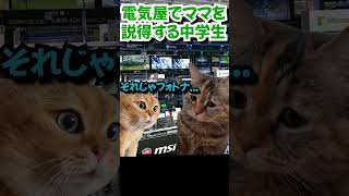 ママを説得する中学生 猫 猫ミーム ゲーミング [upl. by Tavish]