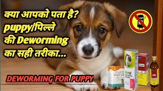 Deworming in Puppy doguniquecafepuppydeworming [upl. by Dylana306]