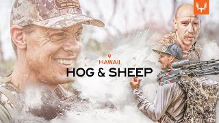 MeatEater  Hawaii Hogs and Sheep [upl. by Annahsat268]