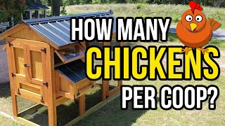 How many chickens fit in a coop The real answer [upl. by Eednyl401]