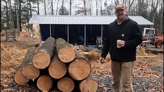 Harvesting White Pine for the WoodMizer LX55 Saw Mill [upl. by Einahpets65]