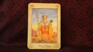 The Llewellyn Tarot Full Flip Through [upl. by Enerod]