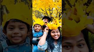 👑👸maple Leaf crown minivlog short positivevibes familyvlog dailyvlog mallusinfinland autumn [upl. by Avra]