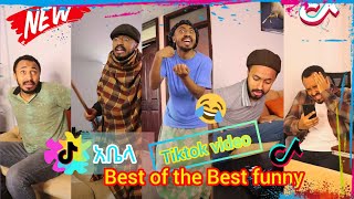 የአቤላ በታም የሚያዝናኑ እና ሚያስቁ ዘፈኖች part5 Abela Best funny Music ETHIOPIANTIKTOK [upl. by Asirral]