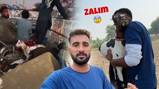 Hamari Goats Kay Sath Bahut Zulm Hoa 😥 [upl. by Aihsi]