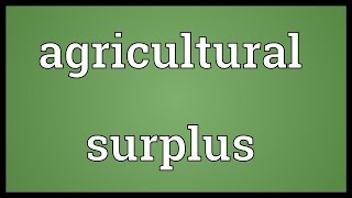 Agricultural surplus Meaning [upl. by Yenohtna163]