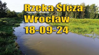 Wrocław rzeka Ślęza most Żernicki 180924  Powódź 2024 wrocław powódź [upl. by Punke3]