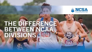 The Difference Between NCAA Divisions Explained [upl. by Aridan]