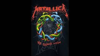 Metallica  The Struggle Within 432hz [upl. by Aratahc]