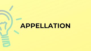 What is the meaning of the word APPELLATION [upl. by Yelrebmyk]