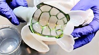 Im  BLOWN AWAY  How This Sea Turtle Turned Out Youve got to SEE this DIY Resin Project [upl. by Malone]