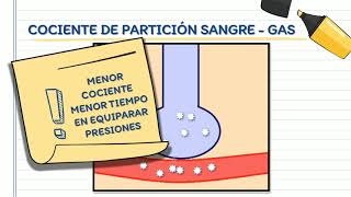 ANESTÉSICOS INHALATORIOS Farmacocinética de los halogenados Anestesia General Inhalatoria [upl. by Yesnyl]