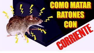 Como Electrocutar Ratas [upl. by Wendell]