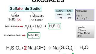 SAL II OXOSALES Parte 2 [upl. by Martel]