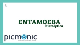 Entamoeba histolytica life cycle  morphology  Laboratory diagnosis  Picmonic QUIZ [upl. by Sprage]