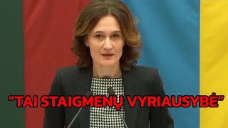 Čmilytė Liberalų frakcijos vardu quotTai staigmenų vyriausybėquot 😑 [upl. by Bibby969]