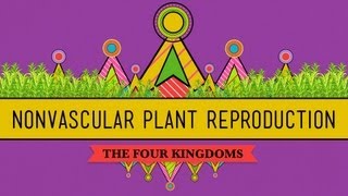 The Reproductive Lives of Nonvascular Plants Alternation of Generations  Crash Course Biology 36 [upl. by Assilaj]