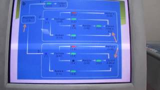 Biophotvoltaics with Cyanobacteria  Eduardo Gorron [upl. by Ailadi]