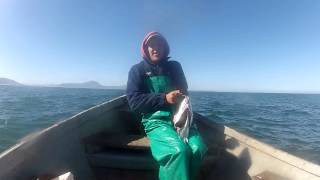 Bettys bay snoek fishing [upl. by Aletta415]