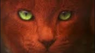 Warrior Cats in die Wildnis Prolog vorlesen [upl. by Indys955]