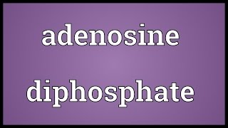 Adenosine diphosphate Meaning [upl. by Carthy]