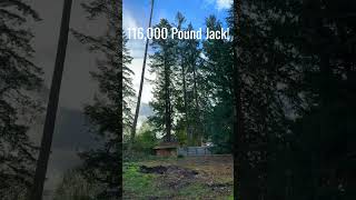 Biggest Tree Jack Ever [upl. by Bowden]