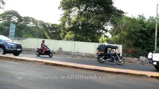 Driving through Pune Cantonment in Maharashtra [upl. by Neehcas235]