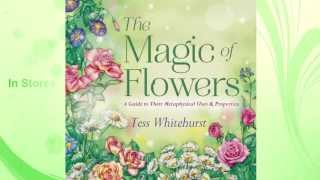 The Magic of Flowers Book Trailer [upl. by Avraham]