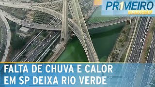 Calor e estiagem em SP deixam rio Pinheiros verde  Primeiro Impacto 100924 [upl. by Pember]