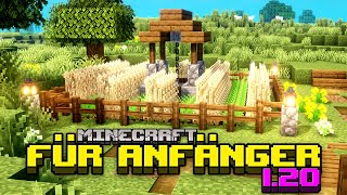 Wie baut man eine Farm  Minecraft für Anfänger 120  LarsLP [upl. by Nalrah746]