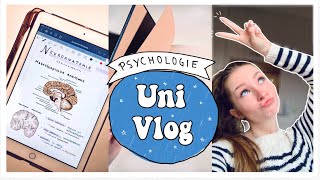 UNI VLOG  Lernen für Klausuren mein Lernplan amp Organisation [upl. by Gib717]