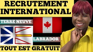 🔴TERRE NEUVE ET LABRADOR🔴RECRUTE GRATUITEMENT DANS TOUS LES SECTEURSIMMIGRER AU CANADA SEULFAMILLE [upl. by Nnoryt233]