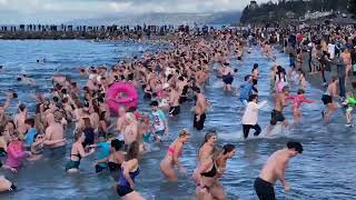 2023 Polar Bear Plunge in Edmonds [upl. by Auliffe9]