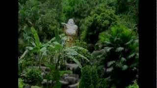 Kundalini and Flow Yoga Instrumental MusicVideo Upbeat  Jungle Buddha [upl. by Saref]