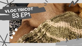 Vlog tricot  S3 Ep1  Deux gilets et des mitaines [upl. by Enilec]