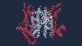 Voltage Gated Sodium Channels Part 1 [upl. by Yi]