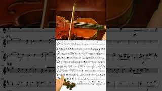 PENNY LANE THE BEATLES FREE VIOLIN S27 [upl. by Cesar514]