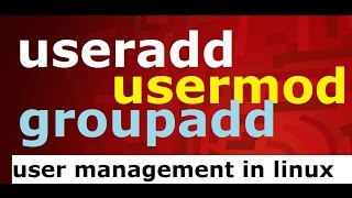 useraddusermodgroupadd user management commands in linux [upl. by Enomad]