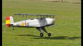 bucker jungmann 1131 [upl. by Nolasba]