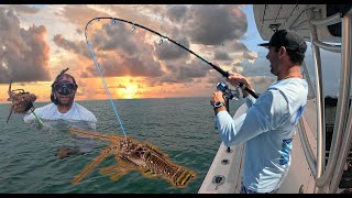 Snorkeling for the MOST EXPSENSIVE fishing bait  Catch amp Cook  Day 4 Florida Keys [upl. by Gresham211]